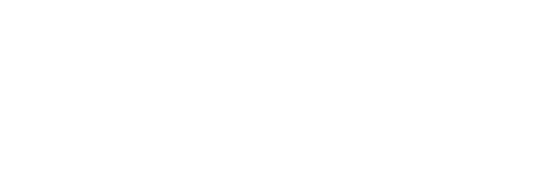 Deep Spark-logo